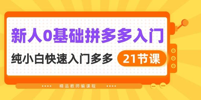 新人0基础拼多多入门，纯小白快速入门多多（21节课）-13资源网